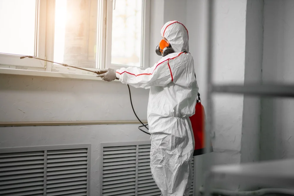 Professional mold remediation services in Markham, VA